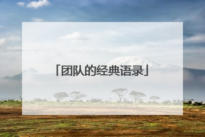 团队的经典语录