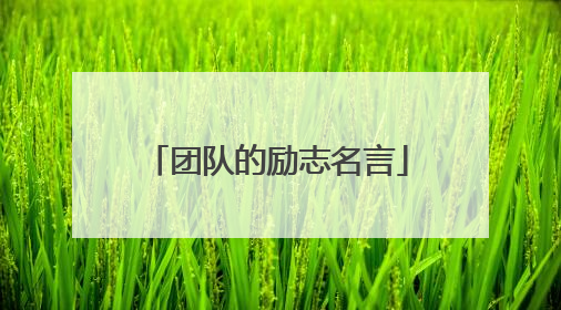 团队的励志名言