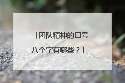 团队精神的口号八个字有哪些？