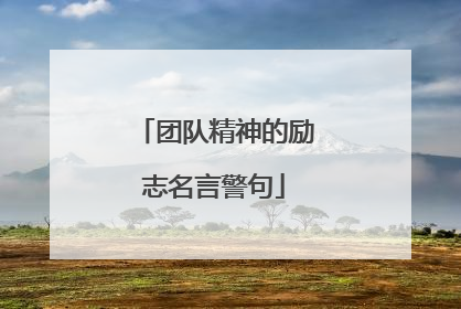 团队精神的励志名言警句