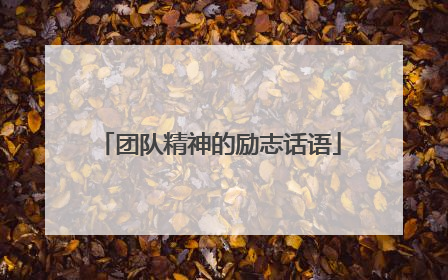 团队精神的励志话语