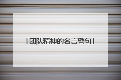 团队精神的名言警句