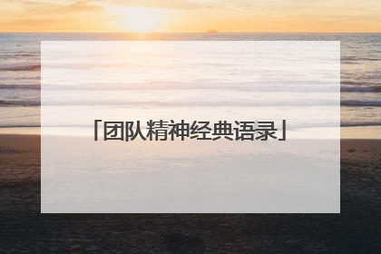团队精神经典语录