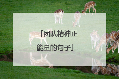 团队精神正能量的句子