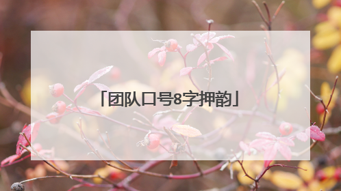 团队口号8字押韵