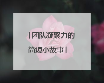 团队凝聚力的简短小故事