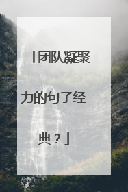 团队凝聚力的句子经典？