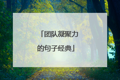 团队凝聚力的句子经典