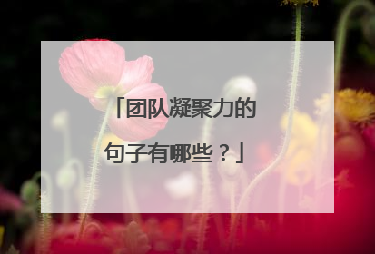 团队凝聚力的句子有哪些？