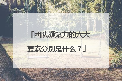 团队凝聚力的六大要素分别是什么?