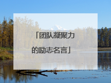 团队凝聚力的励志名言