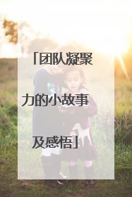 团队凝聚力的小故事及感悟