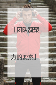 团队凝聚力的要素