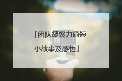 团队凝聚力简短小故事及感悟