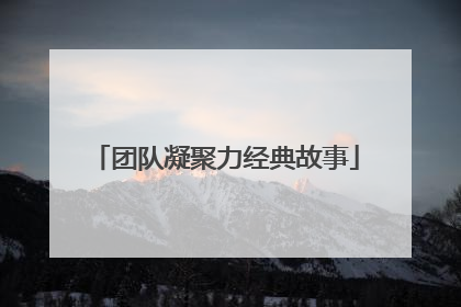 团队凝聚力经典故事