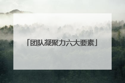 团队凝聚力六大要素
