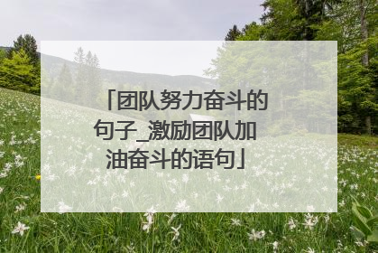 团队努力奋斗的句子_激励团队加油奋斗的语句