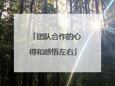团队合作的心得和感悟左右