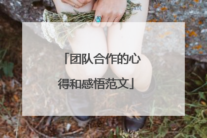 团队合作的心得和感悟范文