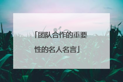 团队合作的重要性的名人名言