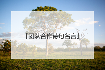 团队合作诗句名言