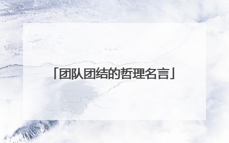 团队团结的哲理名言