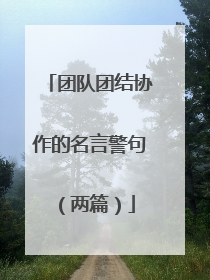 团队团结协作的名言警句（两篇）