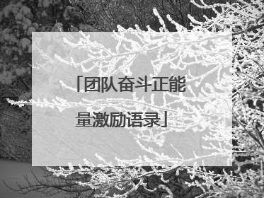 团队奋斗正能量激励语录