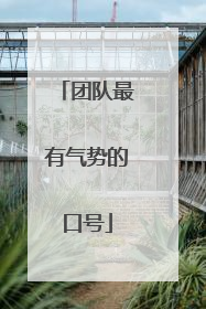 团队最有气势的口号