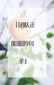 团队正能量的句子