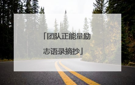 团队正能量励志语录摘抄