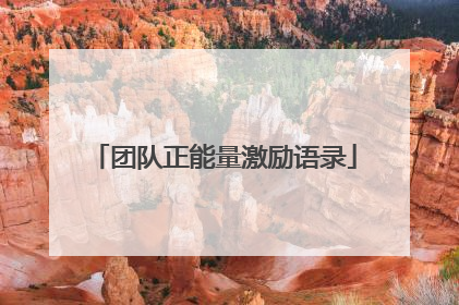 团队正能量激励语录