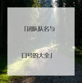 团队队名与口号的大全