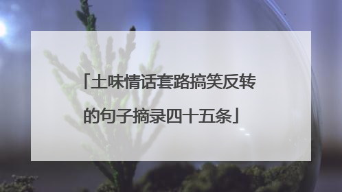 土味情话套路搞笑反转的句子摘录四十五条