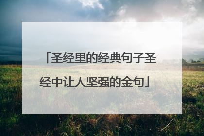 圣经里的经典句子圣经中让人坚强的金句