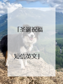 圣诞祝福短信英文