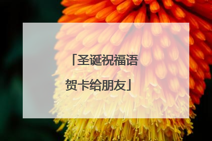 圣诞祝福语贺卡给朋友