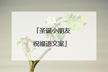 圣诞小朋友祝福语文案