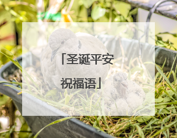 圣诞平安祝福语