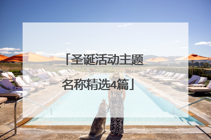 圣诞活动主题名称精选4篇