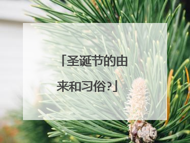 圣诞节的由来和习俗?