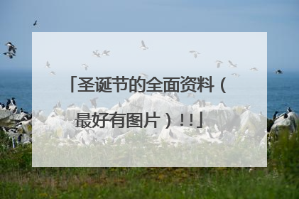 圣诞节的全面资料（最好有图片）!!