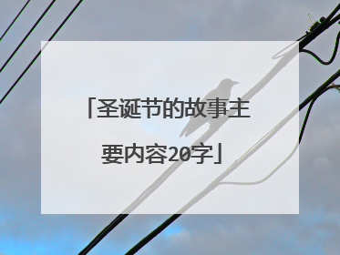 圣诞节的故事主 要内容20字