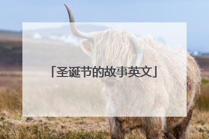 圣诞节的故事英文