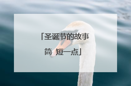 圣诞节的故事 简 短一点