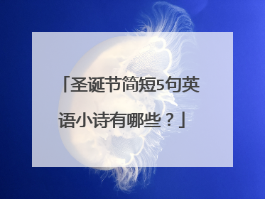 圣诞节简短5句英语小诗有哪些?