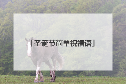 圣诞节简单祝福语