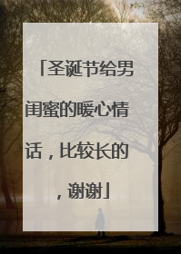 圣诞节给男闺蜜的暖心情话,比较长的,谢谢