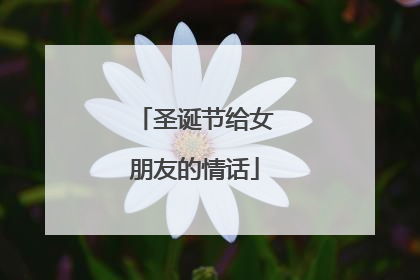 圣诞节给女朋友的情话
