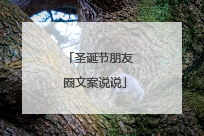 圣诞节朋友圈文案说说